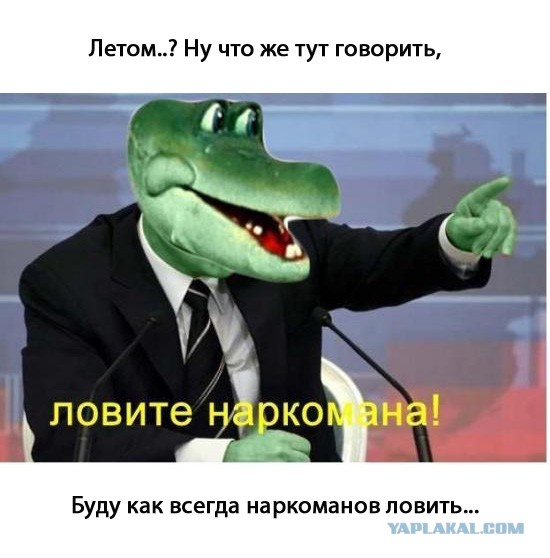 О планах на лето