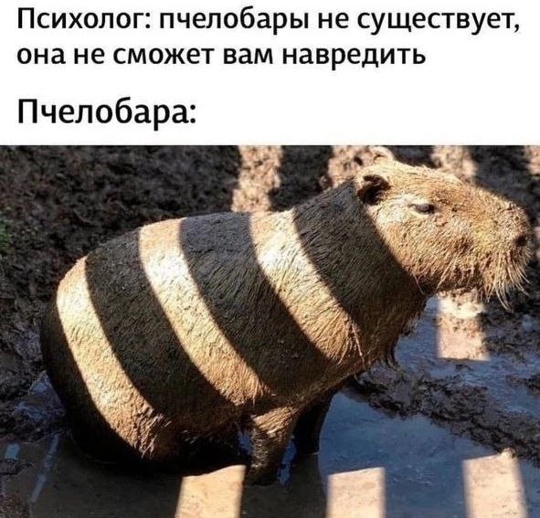 Так себе картинки 21.02.25