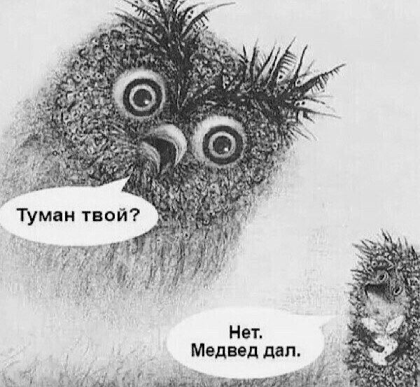 Прикольные и просто красивые картинки 11.04.2025