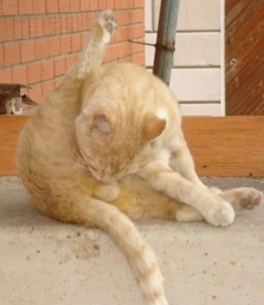 Преобразование