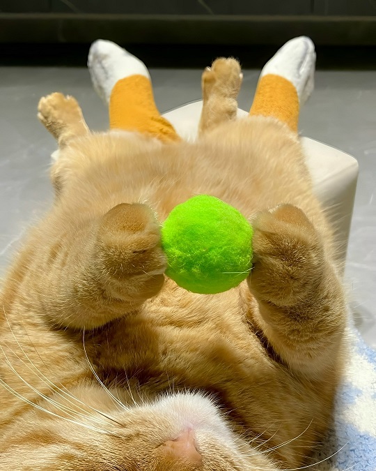 Могу себе позволить