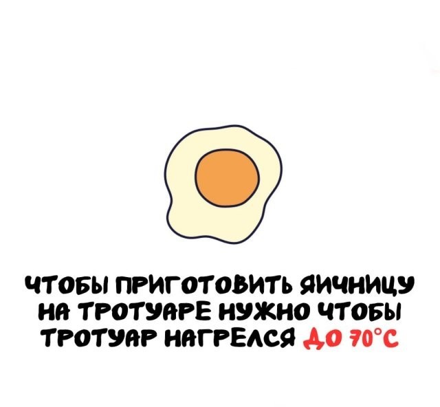 Подборка интересных фактов на все случаи жизни 26.11.25