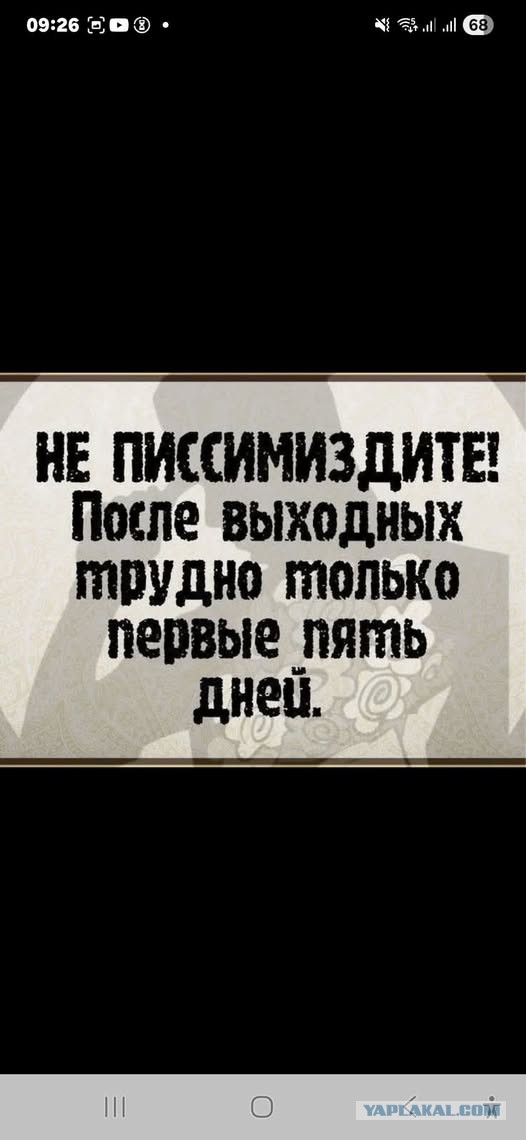 Картиночки, баянчики 15 декабря