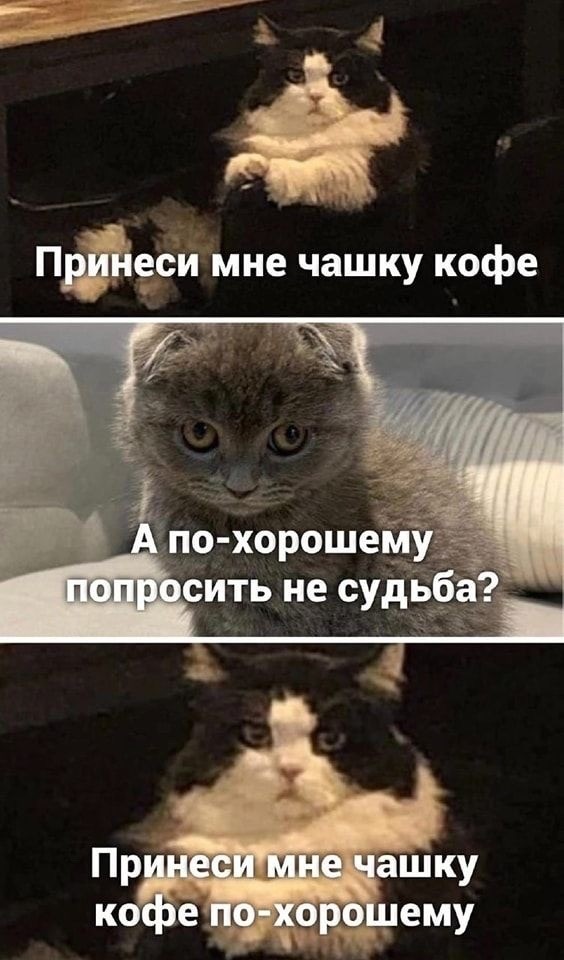 Четверговые картинки