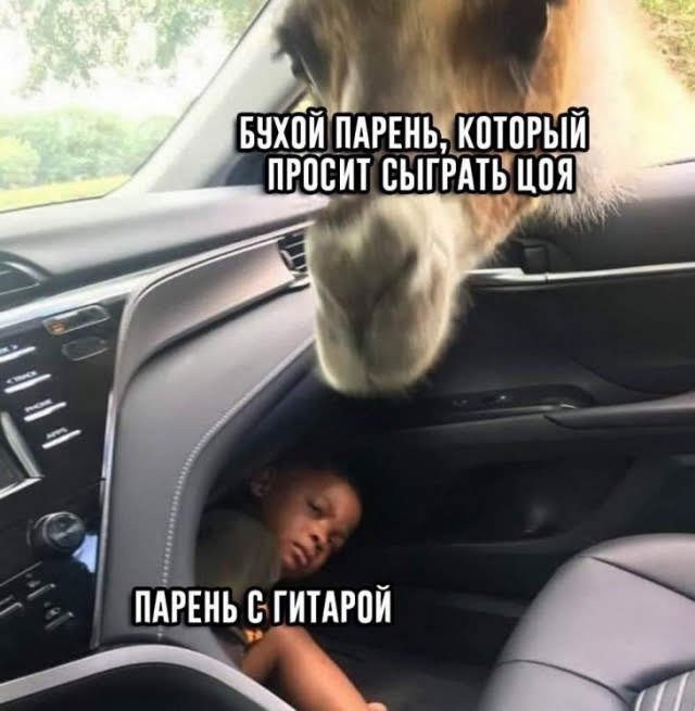 Так себе картинки 21.01.26
