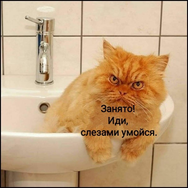 Субботние картинки