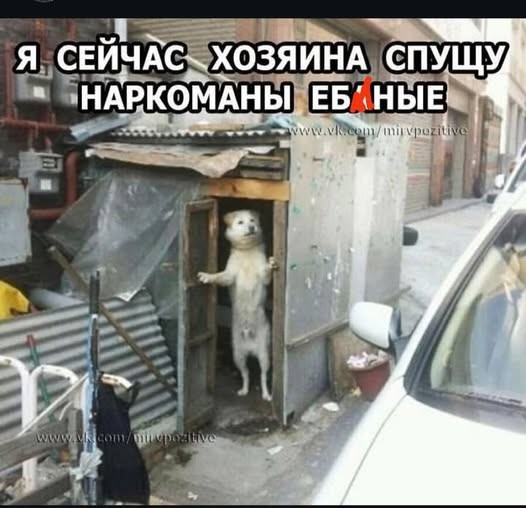 Картинки на среду