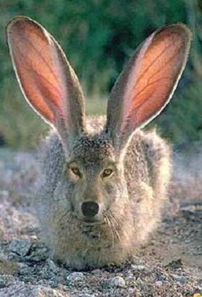 Детский браслет из...