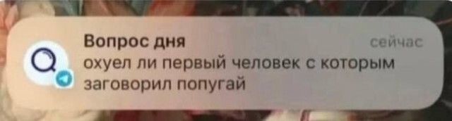 Картинки для деградации 267 (разной степени свежести)