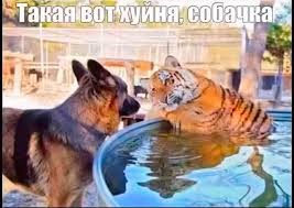 *БАЯН*самое важное на сегодня