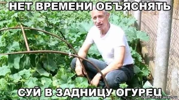 Домашний сад-огород