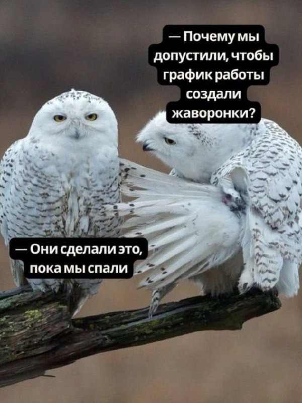 Картинки для деградации 302 (разной степени свежести)