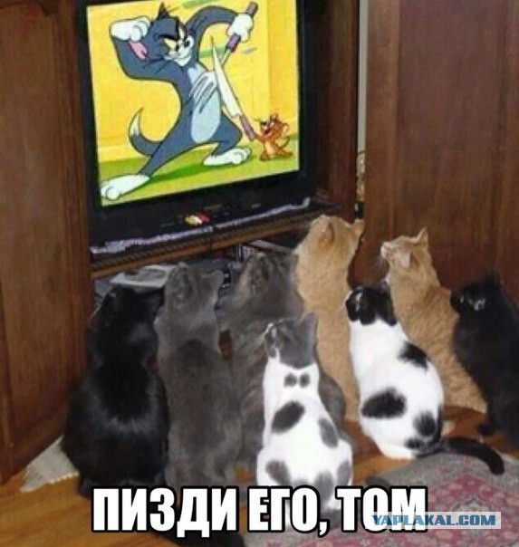 Не про олимпиаду