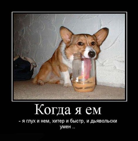 Комментарии из социальных сетей