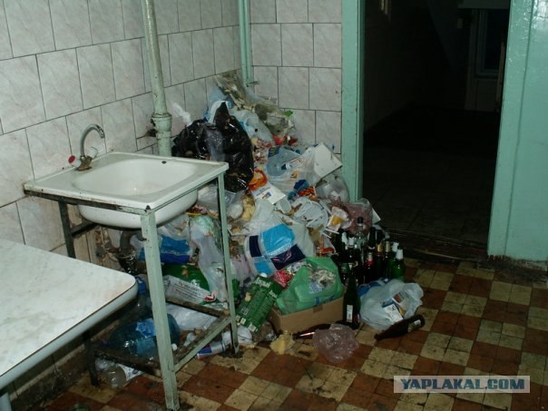 Студенческий быт