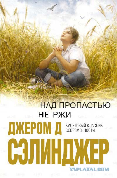 15 книг, которые люди пытались взять в библиотеках