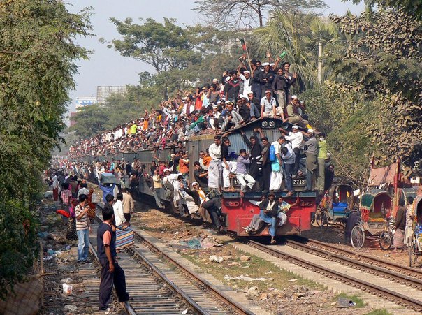 Shit Train from the Hell