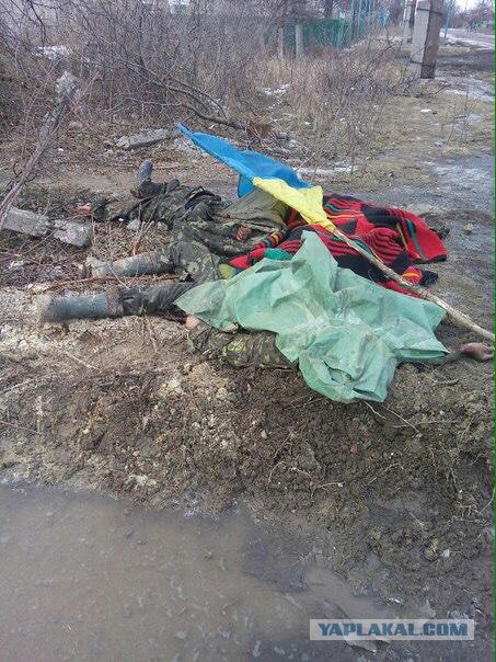 Голодные солдаты ВСУ бунтуют на передовой