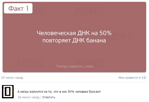 Смешные комментарии из социальных сетей