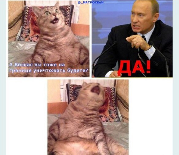 Подборка картинок из ВК