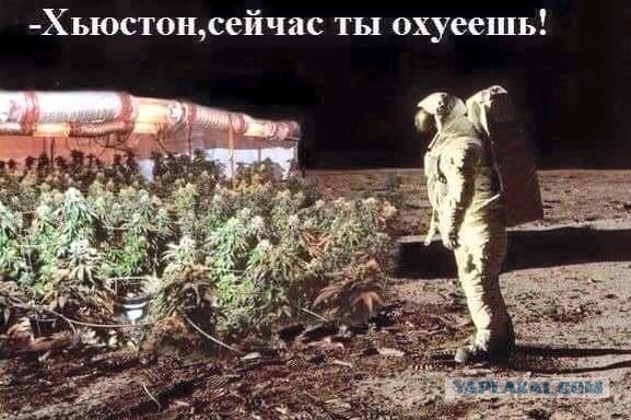 Наркоманский юмор