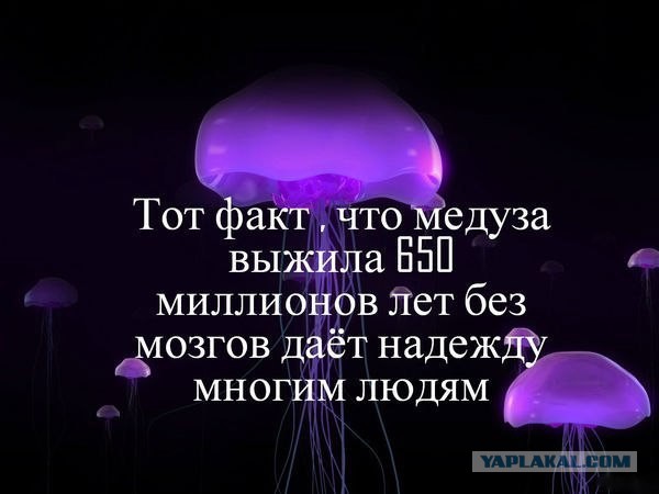 Идиоты среди нас