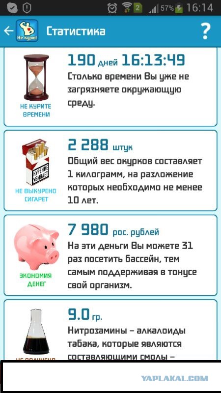Год не курю