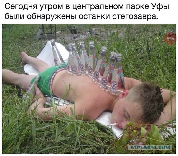 15 картинок с тЫрнета