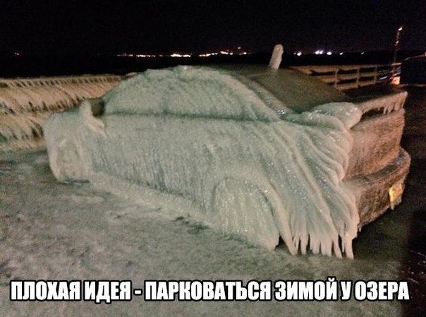 Пучок смешных картинок