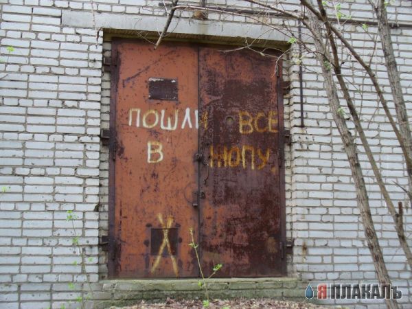 ПАНКИ