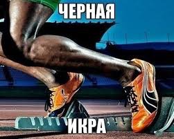 Чем кроссовер отличается от внедорожника