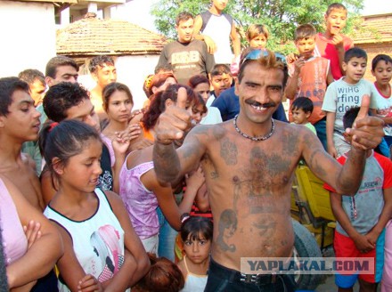 Вестник социальных сетей