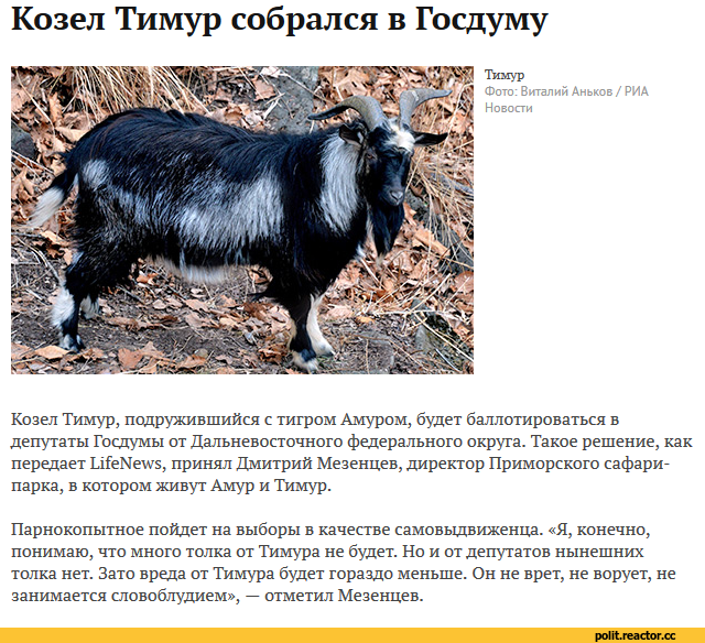Кто может сказать, что будет с медициной дальше?
