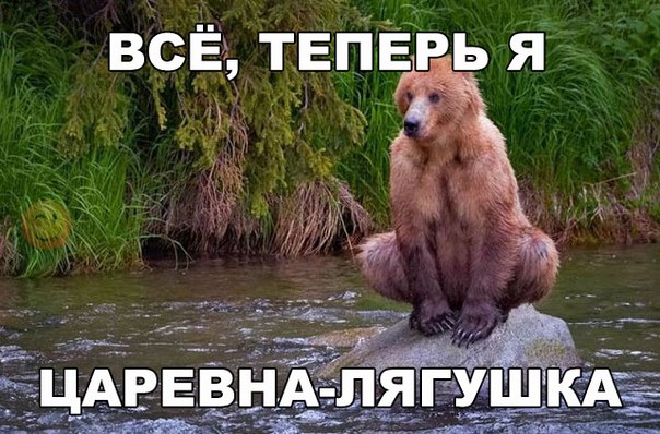 Божьи твари