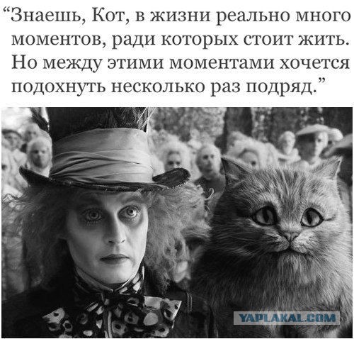 Подборка интересных и веселых картинок