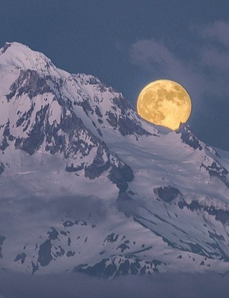 Моменты, запечатлённые на фото и просто позитив 5