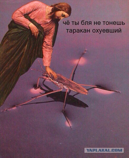 Абсурдный юмор ч.28