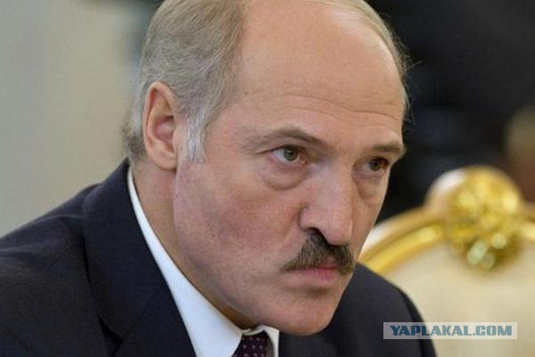Как всегда виноваты во всем женщины...