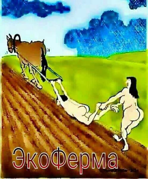Картиночек на пятничку!