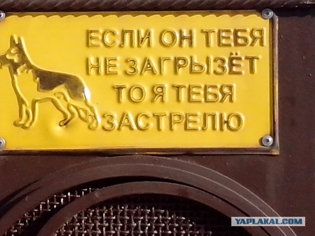 Полчаса мизантропии и интроверсии