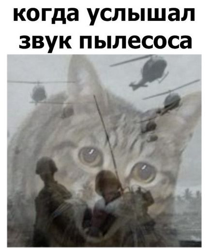 Подборка интересных и веселых картинок