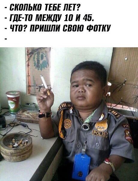 Скотсети и прочие интернеты