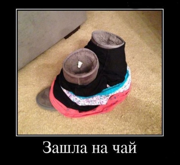 Центнер Идиотизма