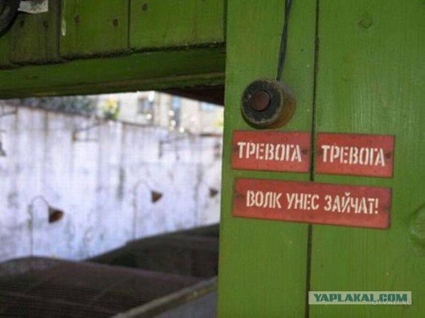 В Екатеринбурге грабители борцовским приемом обезвредили продавца и вынесли ноутбуков более чем на миллион рублей