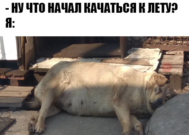 Прикольные картинки обо всём