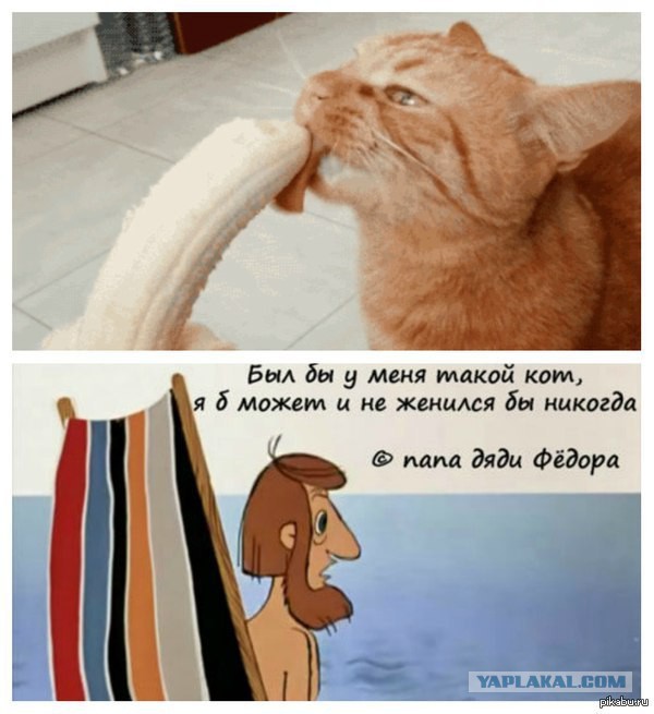 Собрал целый букет