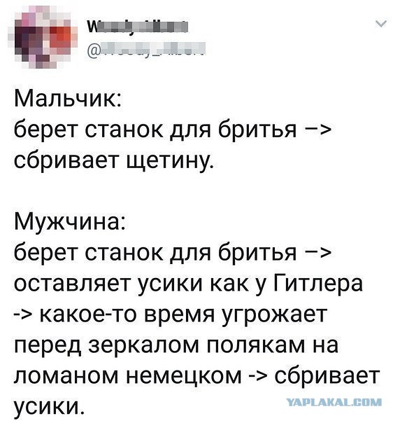 Смешные комментарии из социальных сетей 20.04.2018