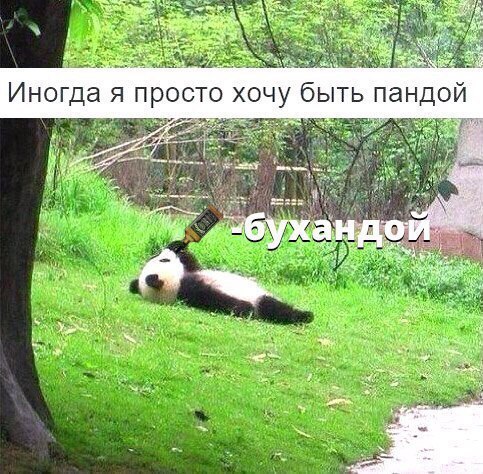 Алкоюмор 3.0