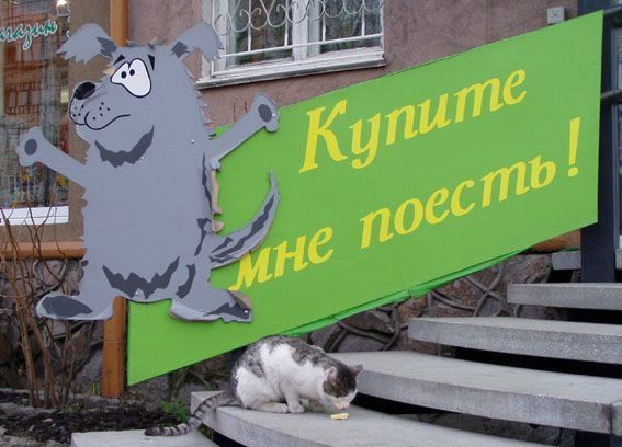 Котомет на вторник (15.04.2008)