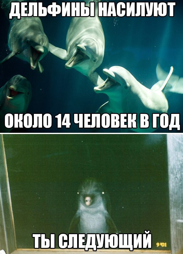 50 картинок в эту пятницу